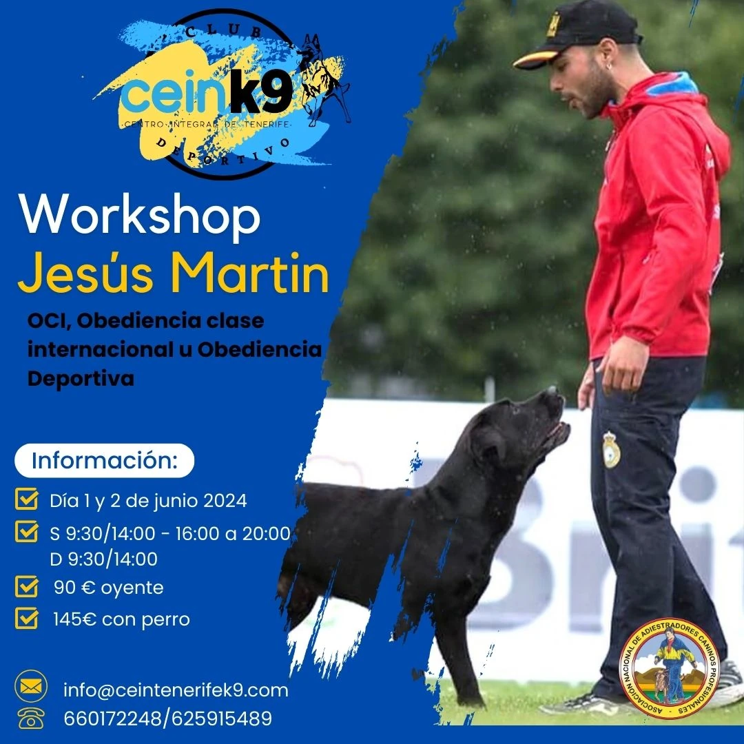 Workshop Jesús Martín. OCI, Obediencia Clase Internacional u Obediencia Deportiva
