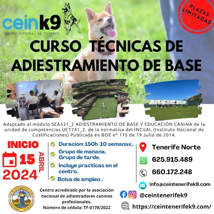 Módulo Adiestrar al perro con técnicas de adiestramiento de base