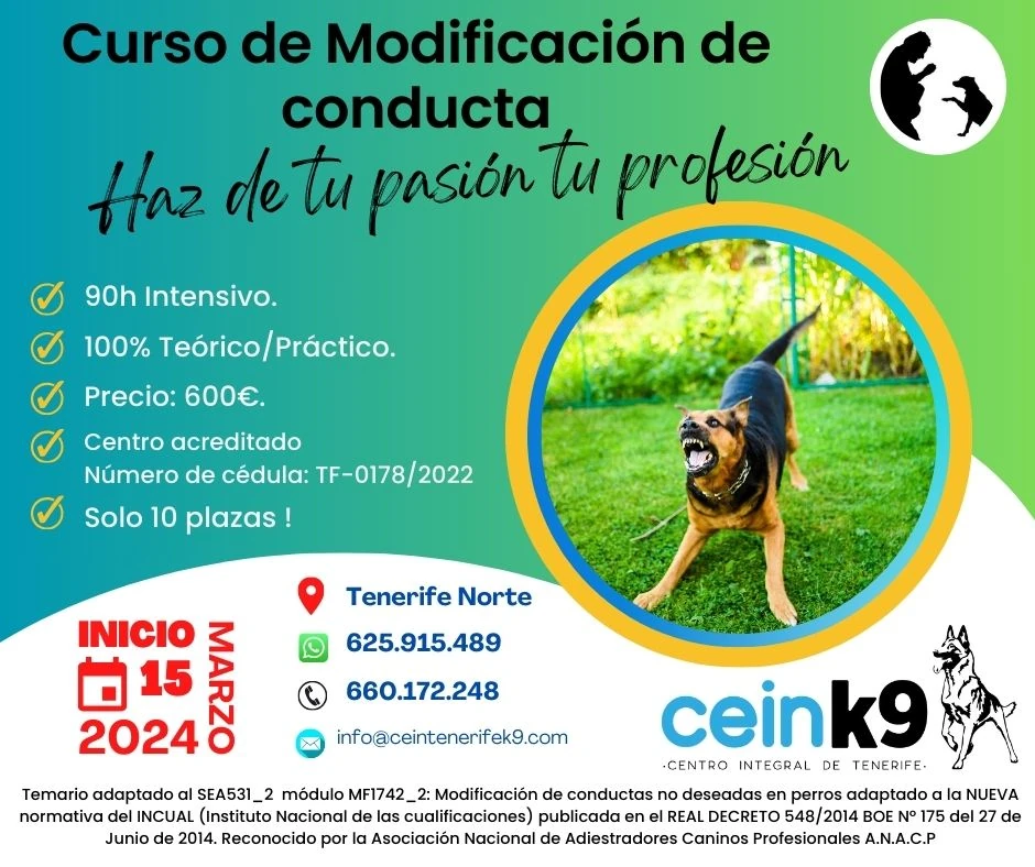 Módulo Técnicas de modificación de conductas no deseadas INTENSIVO