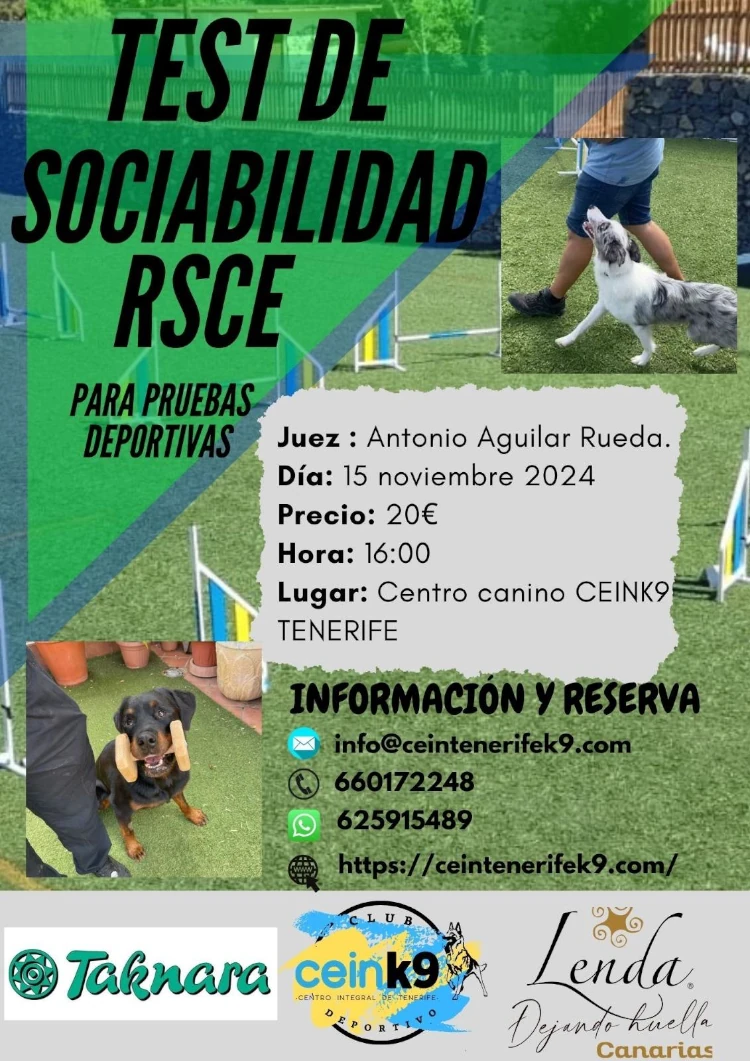Test de sociabilidad RSCE