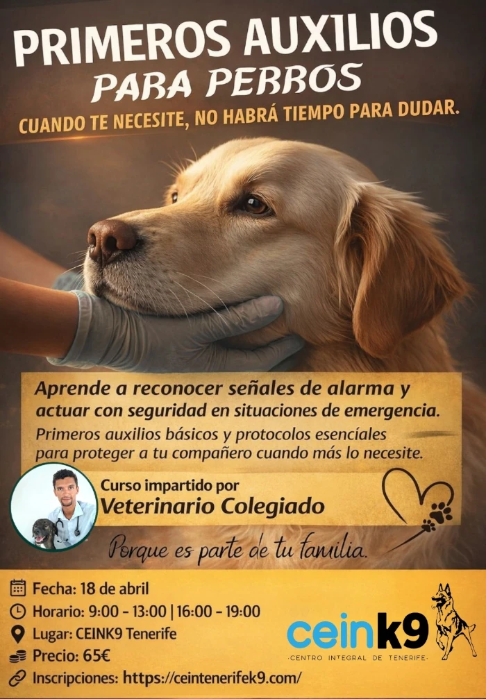 Primeros auxilios para perros