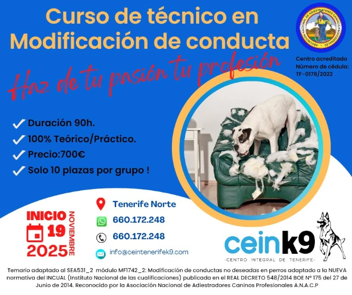 Curso de técnico en Modificación de conducta