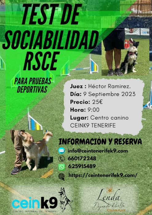 Test de sociabilidad RSCE