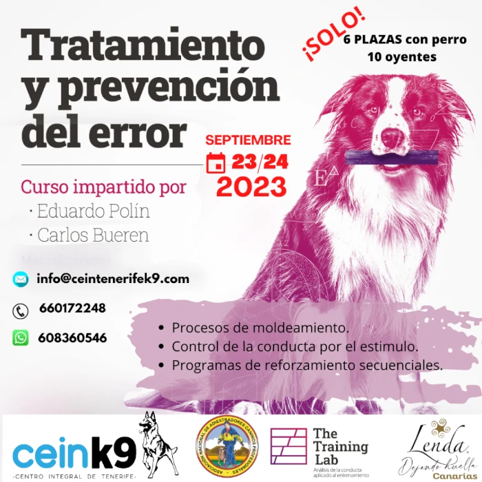 Seminario Tratamiento del error