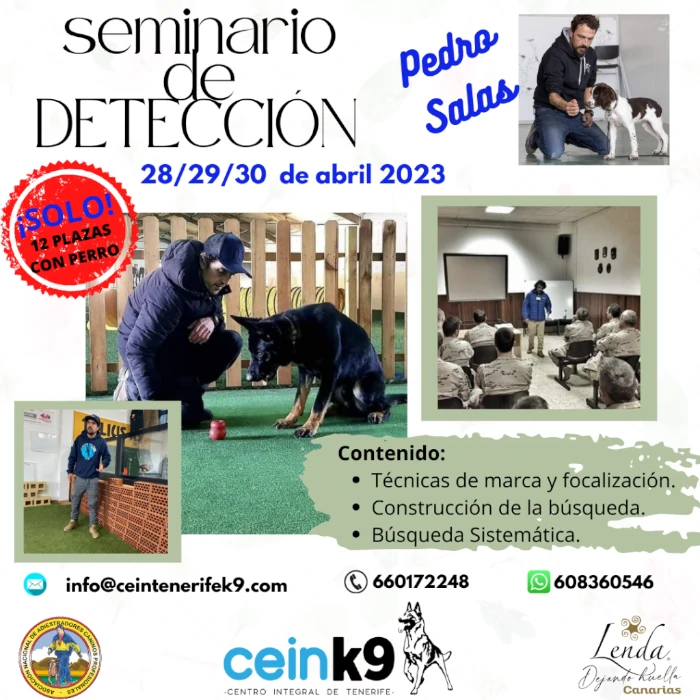 Seminario de Detección 