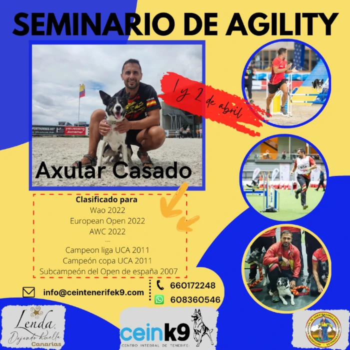 Seminario Agility Axular Casado