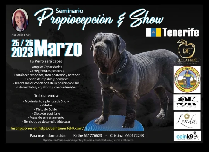 Seminario de Propiocepción y Show
