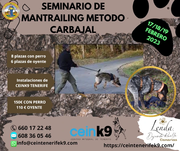 Seminario Maintrailing