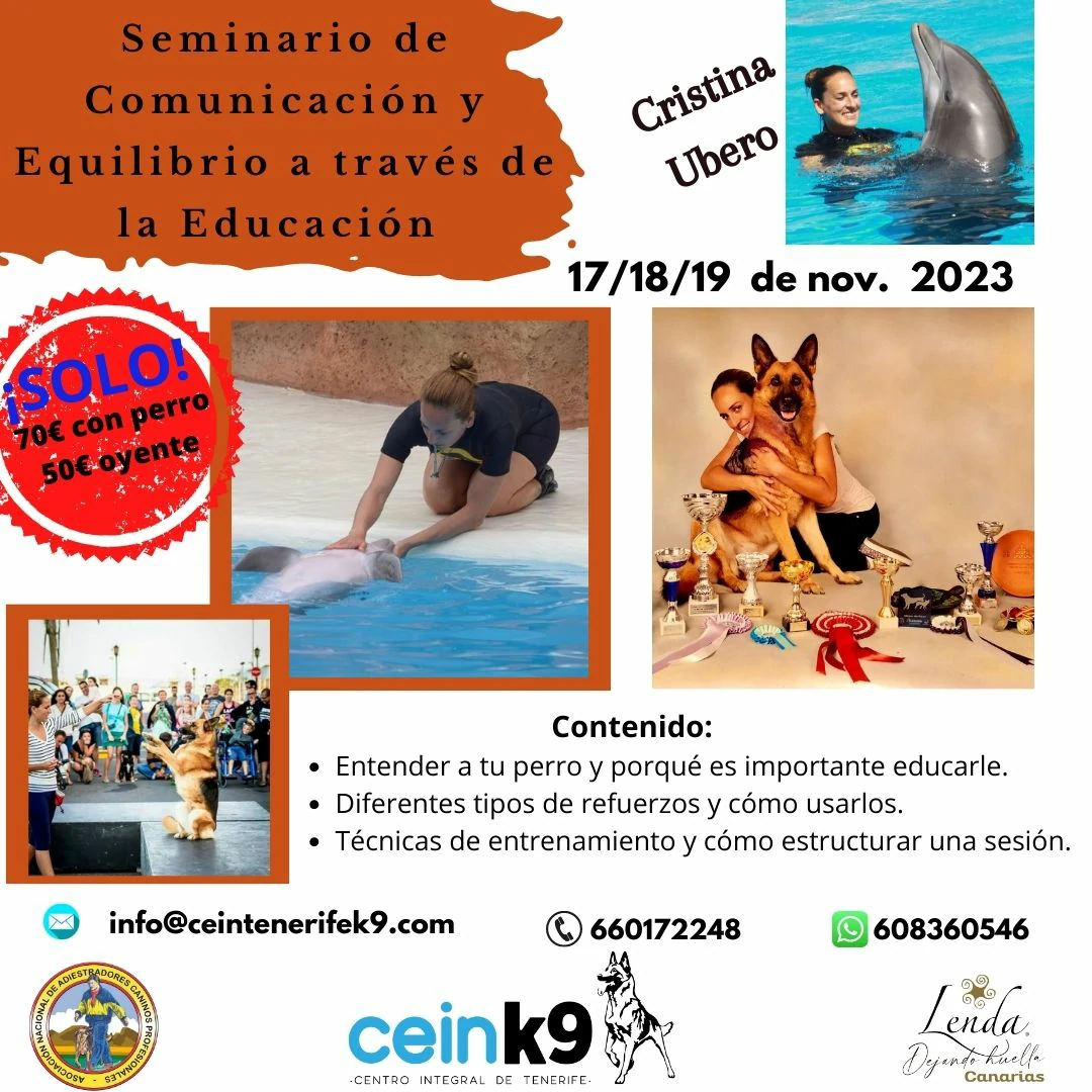 Seminario de Comunicación y Equilibrio a  través de la Educación