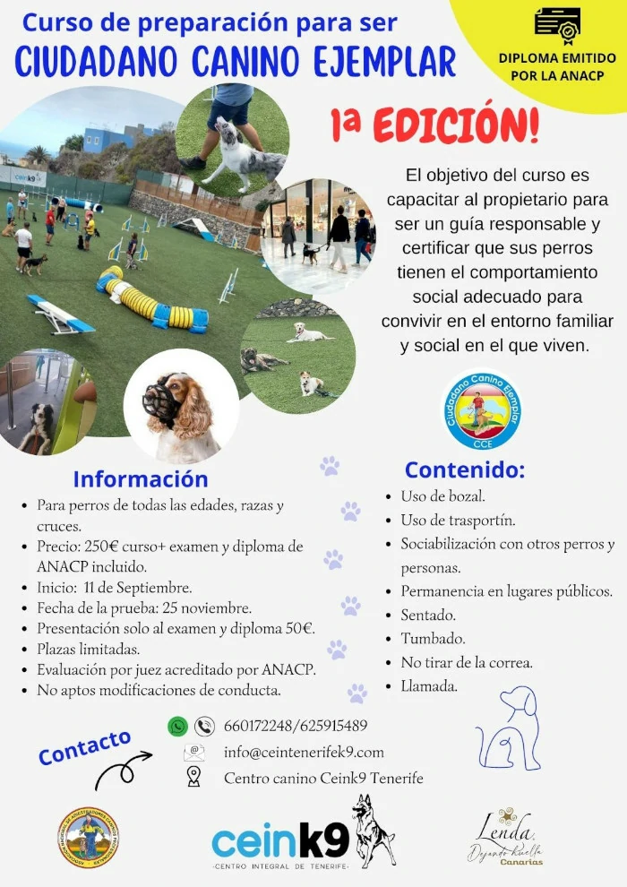 Curso de preparación para ser Ciudadano Canino Ejemplar