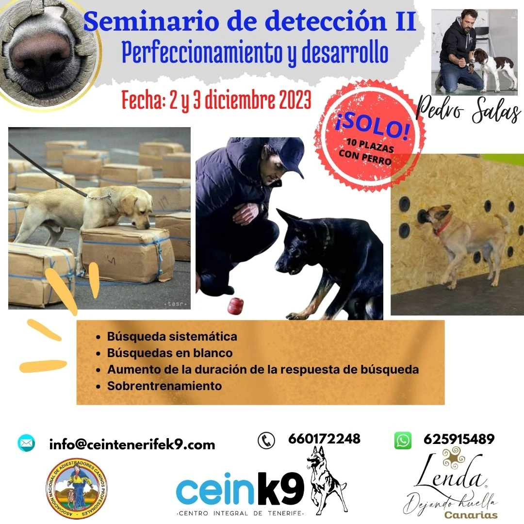 Seminario de detección II: perfeccionamiento y desarrollo
