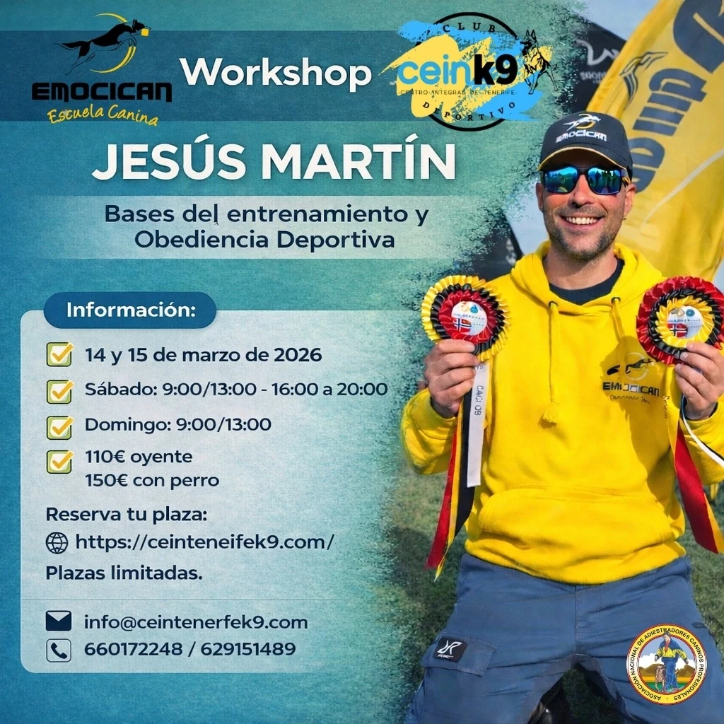 Workshop Jesús Martín: Bases del entrenamiento y obediencia deportiva